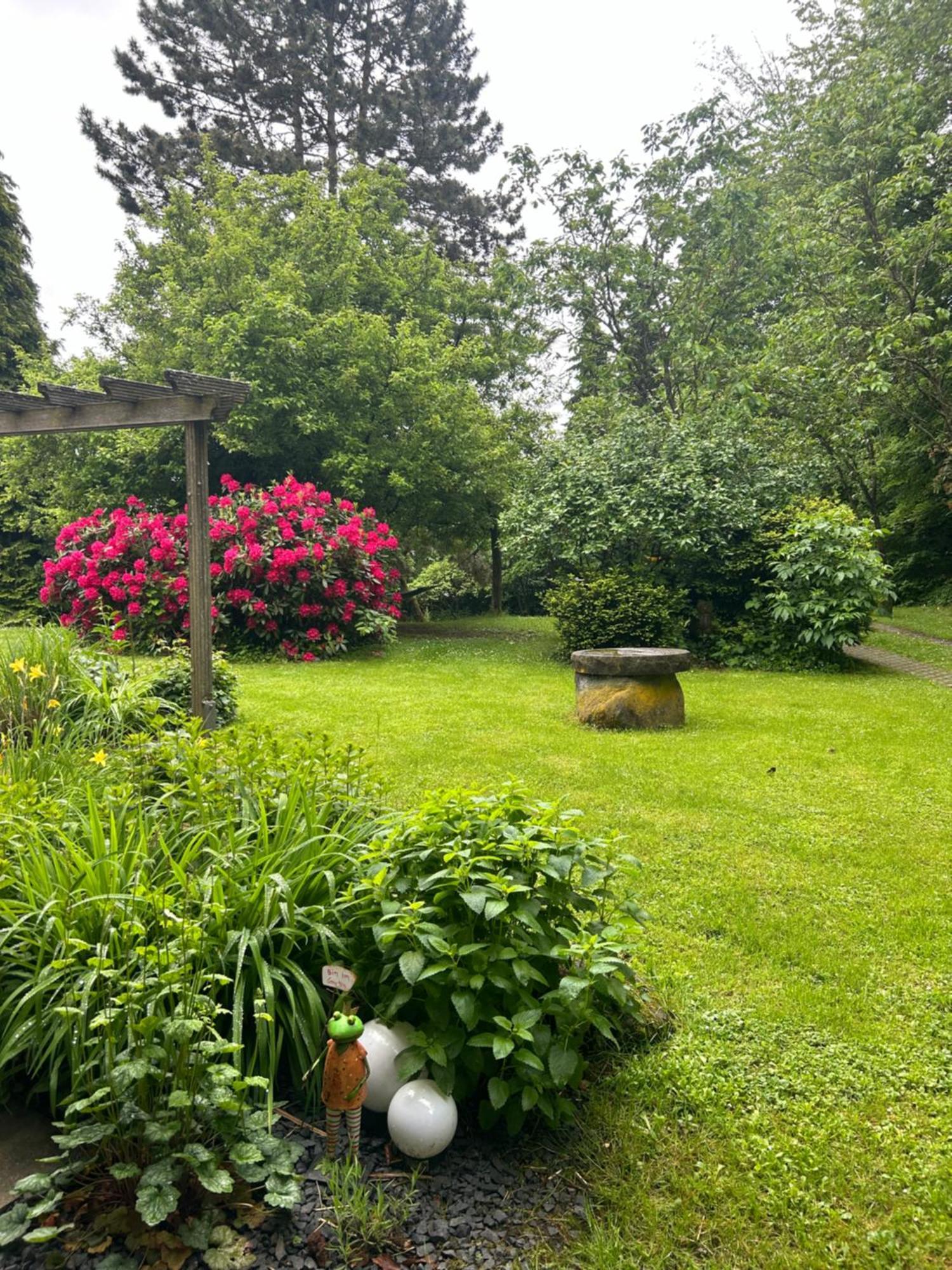Ferienapartments Engeln Eifel Kempenich Extérieur photo